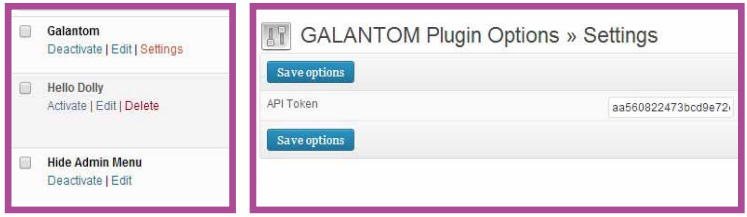 plugin-galantom-token